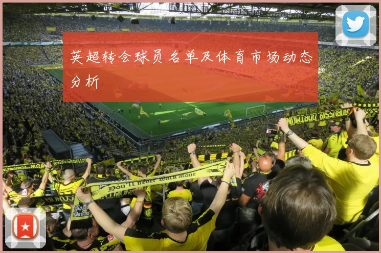 英超转会球员名单及体育市场动态分析