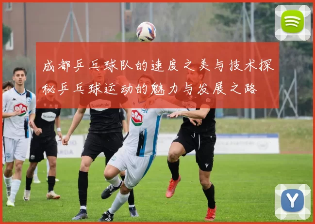 成都乒乓球队的速度之美与技术探秘乒乓球运动的魅力与发展之路