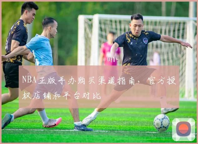 NBA正版手办购买渠道指南，官方授权店铺和平台对比