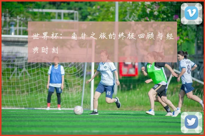 世界杯:南非之旅的终极回顾与经典时刻
