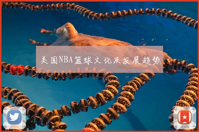 美国NBA篮球文化及发展趋势