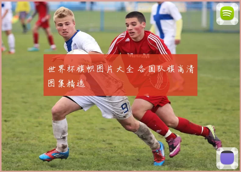 世界杯旗帜图片大全 各国队旗高清图集精选