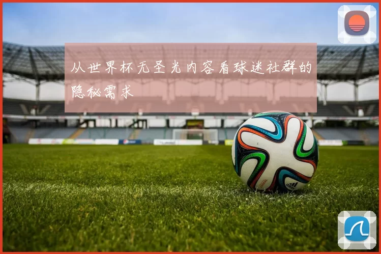 从世界杯无圣光内容看球迷社群的隐秘需求