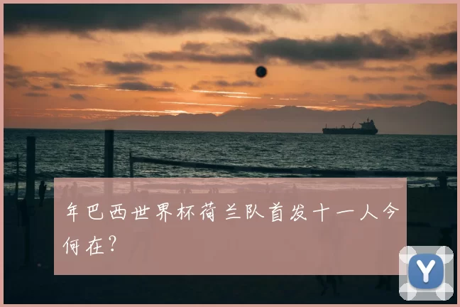 年巴西世界杯荷兰队首发十一人今何在？