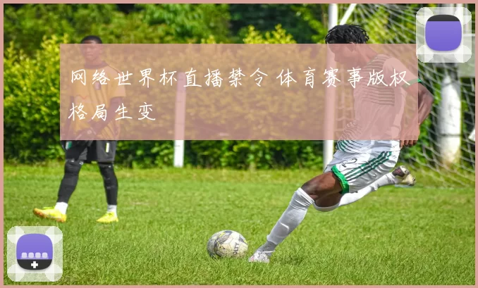 网络世界杯直播禁令 体育赛事版权格局生变