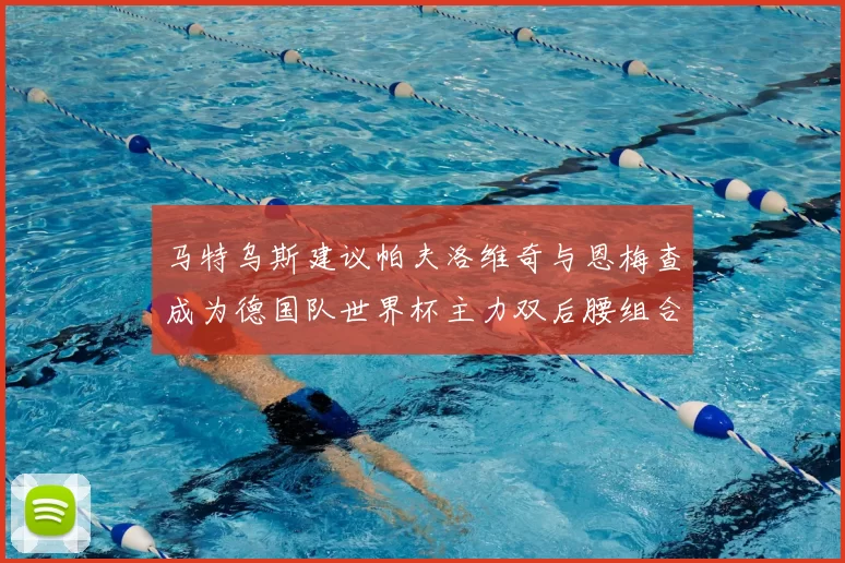 马特乌斯建议帕夫洛维奇与恩梅查成为德国队世界杯主力双后腰组合